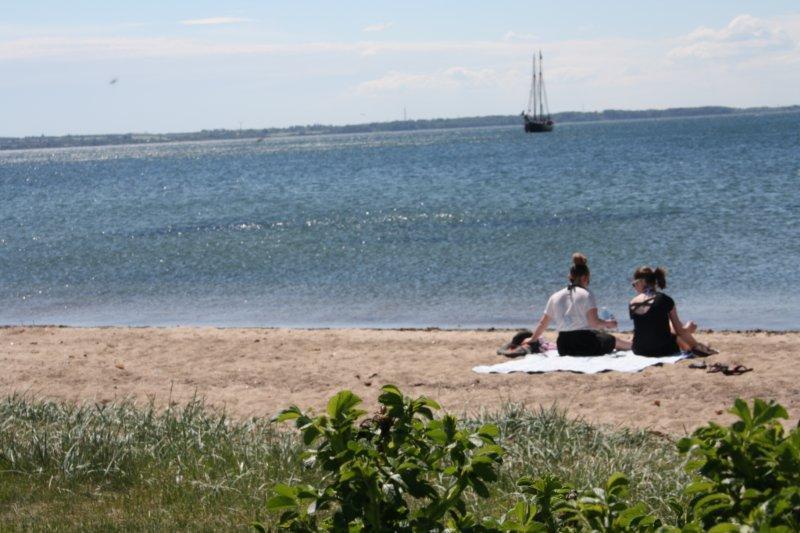 Rosenvold Strand Camping Hotel Stouby Luaran gambar